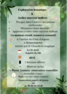 photo Exploration botanique & création de macérât huileux