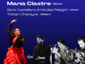 photo Tablao Flamenco