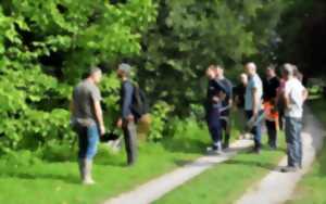 photo Chantier participatif de régulation de l'érable