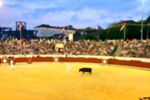 photo Course Landaise Master du Pesqué