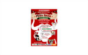 photo Fête de la Peña Idiak