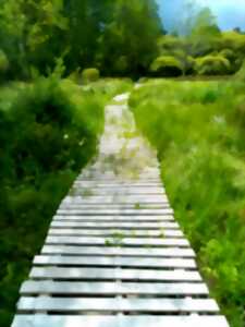 photo Fête de la Nature - Découverte du marais de Nieul