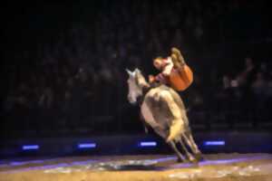 photo Spectacle équestre