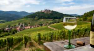 photo Visite guidée du Mont Sainte-Odile puis d'une cave viticole- en Français