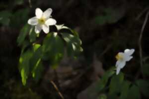 photo Le jardin vivant - Un écosystème
