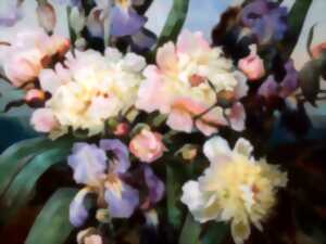 photo Atelier familles tulipes, stipes et cyanotype