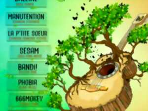 photo Forest Jam Festival