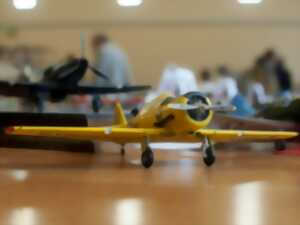 photo Expo maquettes et miniatures