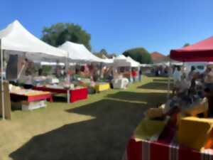 photo Marché saisonnier