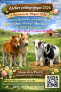 photo Atelier Pédagogique à la Ferme