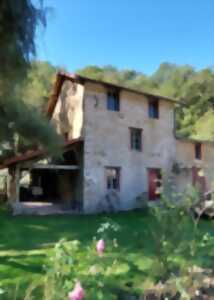 photo Moulins en Fête