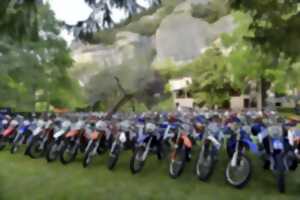 photo 39ème édition de la Grappe de Cyrano