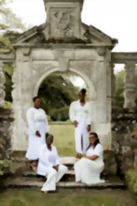 photo Festillésime 41 - Essentielles à Mulsans