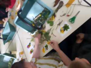 photo Pour les haut comme trois pommes