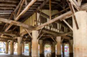 photo FÊTE LOCALE & APÉRITIF MUSICAL