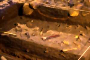 photo ATELIER : LES EXPERTS DE L'ARCHÉOLOGIE