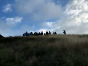 photo Cueillette et brin de causette dans la baie
