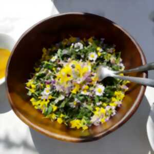 photo Croquons la nature - Eté