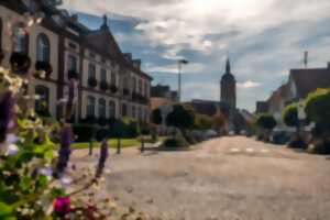 photo Visite commentée de Reichshoffen