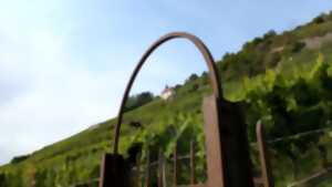 photo Pause découverte pour petits et grands