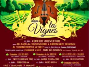 photo Jazz dans les vignes - Domaine Sontag