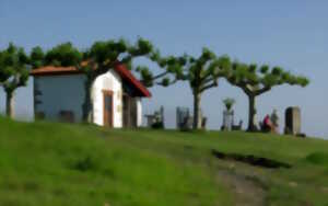photo Sortie découverte proposée par le Conservatoire d'Espaces Naturels