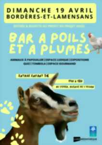 photo Bar à poil et à plume