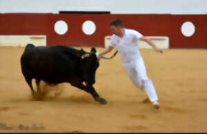 Concours de cocarde