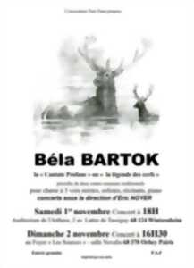 photo Concert - Béla Bartok
