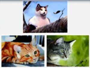 photo Exposition de photographies au Village Fromager - Livarot