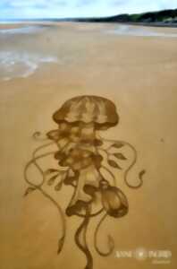 photo Exposition - Beach art & Land art