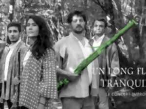 photo Concert Festival des Abbayes-Un long fleuve (in)tranquille