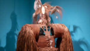 photo Conférence « Les collections extra-occidentales du musée des Beaux-Arts de Chartres »