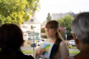 photo Visite guidée de la ville d'Amboise 