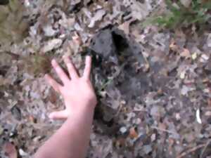 photo Instants Nature - Sentier 