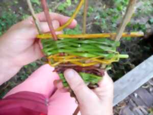 photo Pour les haut comme trois pommes