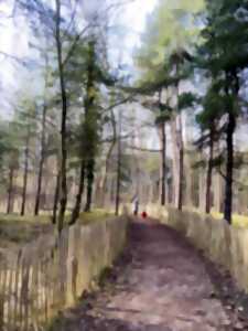 photo Petits gestes pour la nature