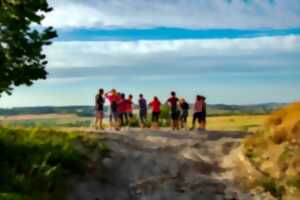 photo Marche du Waldi