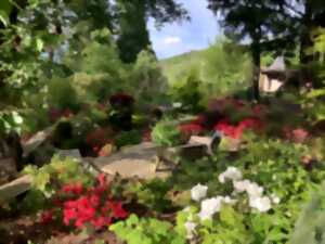 photo Rendez-vous aux jardins - Le Jardin Mil'feuilles
