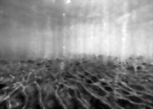 photo Exposition : Hydroscape