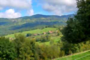 photo Du paysage vu au paysage dégusté... du champ à l'assiette à la ferme-auberge du Ban de la Roche