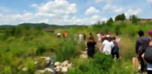 photo Découverte des relations plantes - insectes, à la réserve départementale de biodiversité d'Argentat