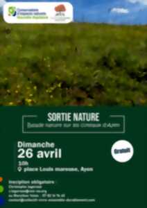 photo Balade nature sur les coteaux d'Ayen