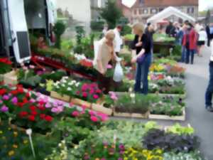 photo Marché aux fleurs, Artisanat et Saveurs du terroir