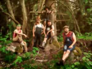 photo Steve'n'Seagulls