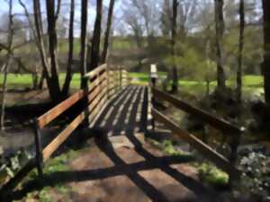 photo Les espaces du jardin