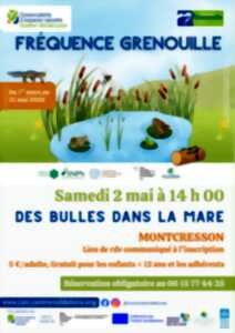 photo Des bulles dans la mare