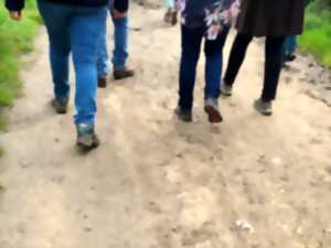 photo Randonnée pédestre