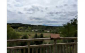 photo Sortie nature : Les espèces exotiques envahissantes