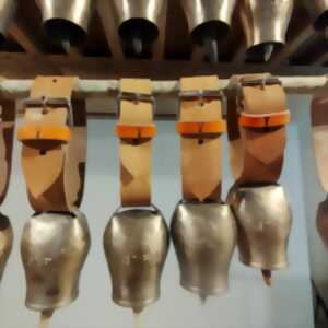 photo Le projet Museoa Urtu